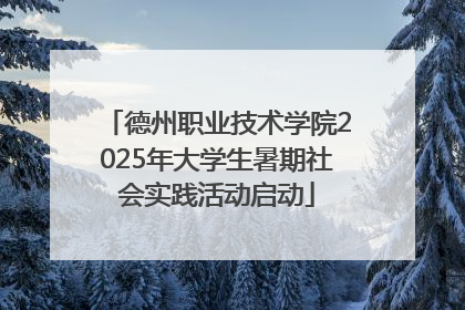德州职业技术学院2025年大学生暑期社会实践活动启动