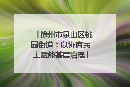 徐州市泉山区桃园街道：以协商民主赋能基层治理