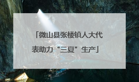 微山县张楼镇人大代表助力“三夏”生产