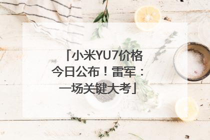 小米YU7价格今日公布！雷军：一场关键大考