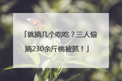 就摘几个吃吃？三人偷摘230余斤桃被抓！