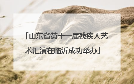 山东省第十一届残疾人艺术汇演在临沂成功举办