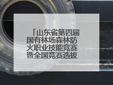 山东省第四届国有林场森林防火职业技能竞赛暨全国竞赛选拔赛鸣锣开赛
