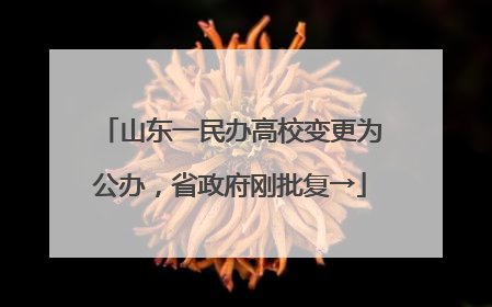 山东一民办高校变更为公办，省政府刚批复→