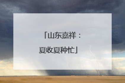 山东嘉祥：夏收夏种忙
