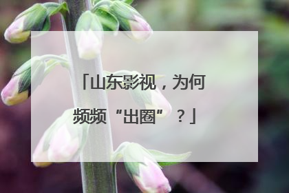 山东影视，为何频频“出圈”？