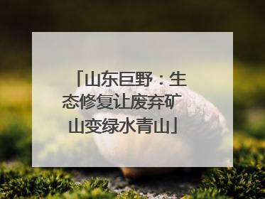 山东巨野：生态修复让废弃矿山变绿水青山