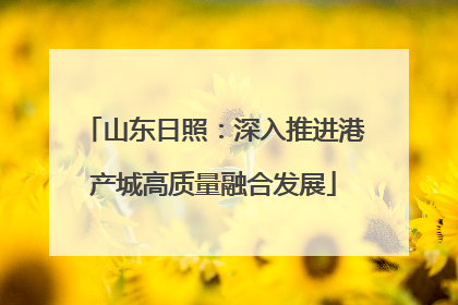 山东日照：深入推进港产城高质量融合发展
