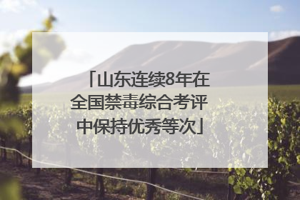 山东连续8年在全国禁毒综合考评中保持优秀等次