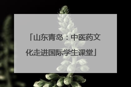 山东青岛：中医药文化走进国际学生课堂