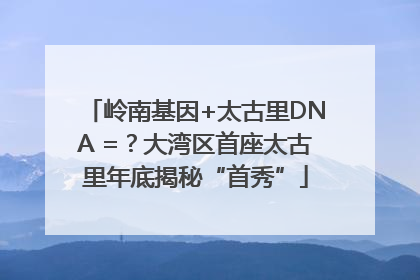 岭南基因+太古里DNA =？大湾区首座太古里年底揭秘“首秀”