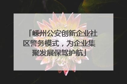 嵊州公安创新企业社区警务模式，为企业集聚发展保驾护航