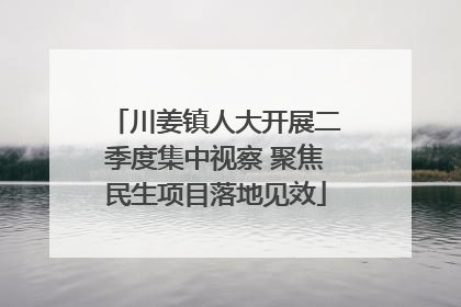 川姜镇人大开展二季度集中视察 聚焦民生项目落地见效