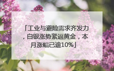 工业与避险需求齐发力，白银涨势紧逼黄金，本月涨幅已逾10%