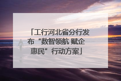 工行河北省分行发布“数智领航 赋企惠民”行动方案