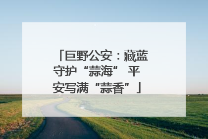 巨野公安：藏蓝守护“蒜海” 平安写满“蒜香”