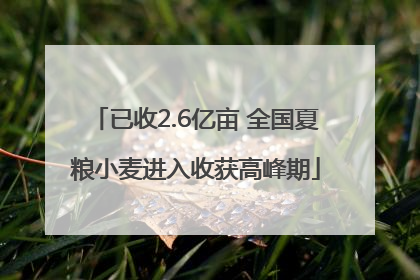 已收2.6亿亩 全国夏粮小麦进入收获高峰期