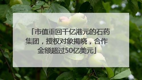 市值重回千亿港元的石药集团，授权对象揭晓，合作金额超过50亿美元