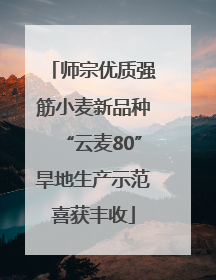 师宗优质强筋小麦新品种“云麦80”旱地生产示范喜获丰收