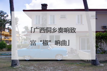 广西侗乡奏响致富“椒”响曲