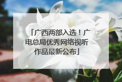 广西两部入选！广电总局优秀网络视听作品最新公布