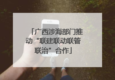 广西涉海部门推动“联建联动联管联治”合作