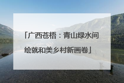 广西苍梧：青山绿水间绘就和美乡村新画卷