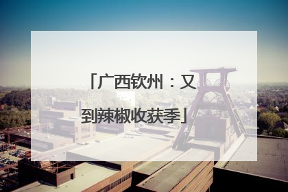 广西钦州：又到辣椒收获季