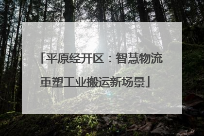 平原经开区：智慧物流重塑工业搬运新场景