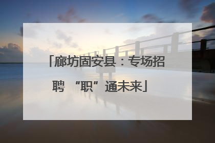 廊坊固安县：专场招聘 “职”通未来