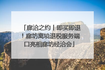 廊洽之约丨即买即退！廊坊离境退税服务端口亮相廊坊经洽会
