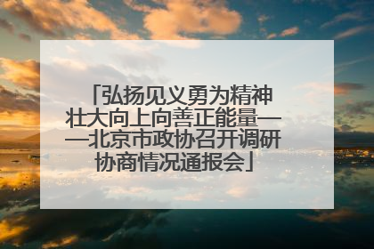弘扬见义勇为精神 壮大向上向善正能量——北京市政协召开调研协商情况通报会