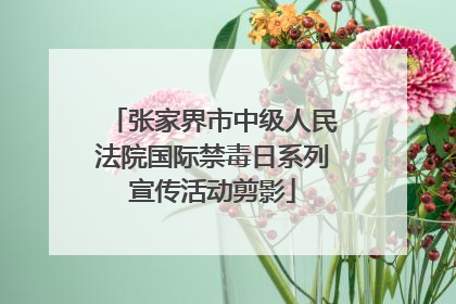 张家界市中级人民法院国际禁毒日系列宣传活动剪影