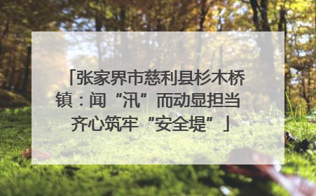 张家界市慈利县杉木桥镇：闻“汛”而动显担当 齐心筑牢“安全堤”