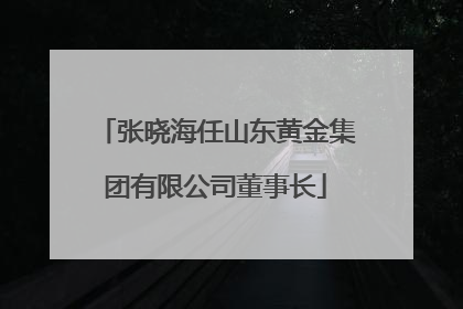 张晓海任山东黄金集团有限公司董事长