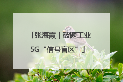 张海霞｜破题工业5G“信号盲区”