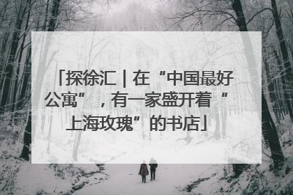 探徐汇｜在“中国最好公寓”，有一家盛开着“上海玫瑰”的书店