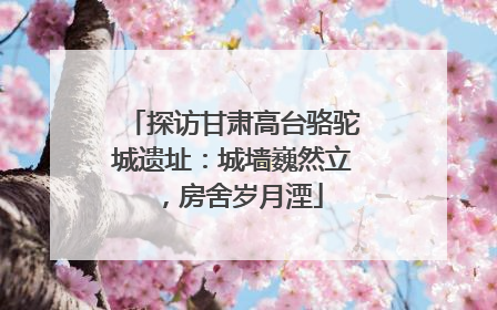 探访甘肃高台骆驼城遗址：城墙巍然立，房舍岁月湮