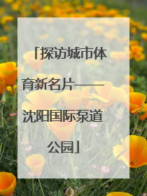 探访城市体育新名片——沈阳国际泵道公园