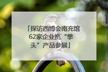 探访西博会南充馆 62家企业携“拳头”产品参展