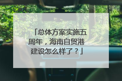 总体方案实施五周年，海南自贸港建设怎么样了？