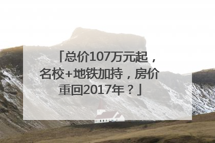 总价107万元起，名校+地铁加持，房价重回2017年？