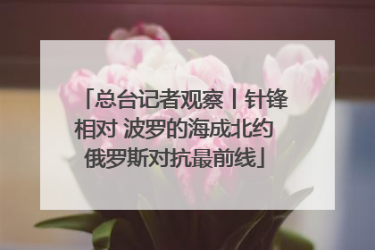 总台记者观察丨针锋相对 波罗的海成北约俄罗斯对抗最前线