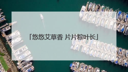 悠悠艾草香 片片粽叶长