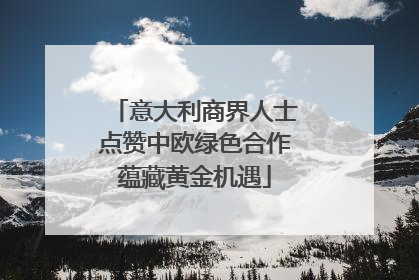 意大利商界人士点赞中欧绿色合作蕴藏黄金机遇