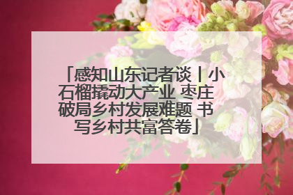 感知山东记者谈丨小石榴撬动大产业 枣庄破局乡村发展难题 书写乡村共富答卷