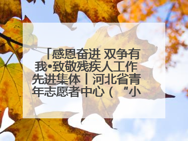 感恩奋进 双争有我•致敬残疾人工作先进集体丨河北省青年志愿者中心（“小橘灯”助残接力计划实施团队）：用温暖陪伴，守护特殊孩子成长