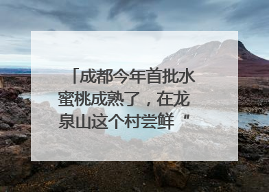 成都今年首批水蜜桃成熟了，在龙泉山这个村尝鲜“第一口”｜寻找和美乡村推荐官