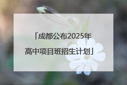 成都公布2025年高中项目班招生计划