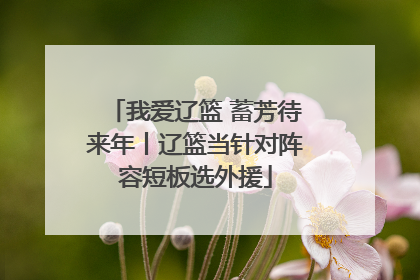 我爱辽篮 蓄芳待来年丨辽篮当针对阵容短板选外援